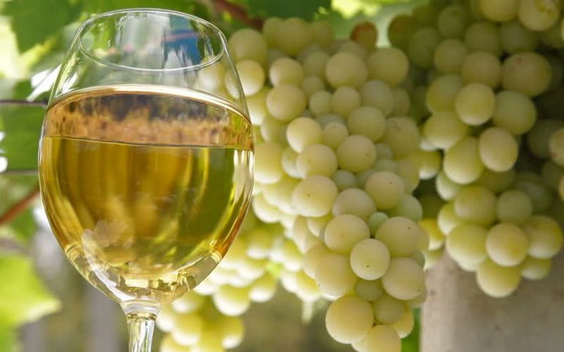 Lefkada White Wine Grapes